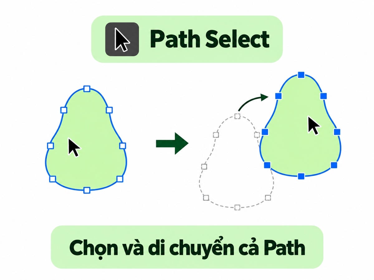 Path Select trong Photoshop online