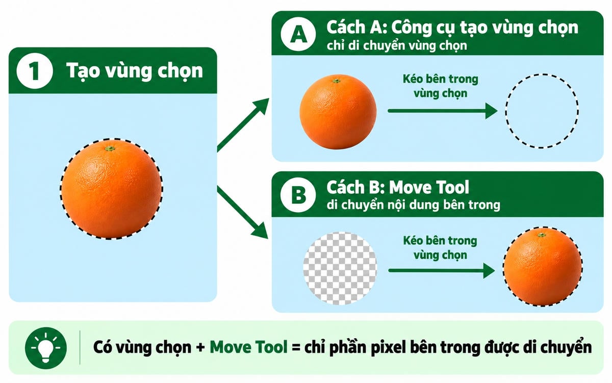 Phân biệt di chuyển vùng chọn và di chuyển nội dung vùng chọn trong Photoshop online
