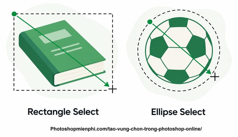 Rectangle Select và Ellipse Select trong Photoshop online