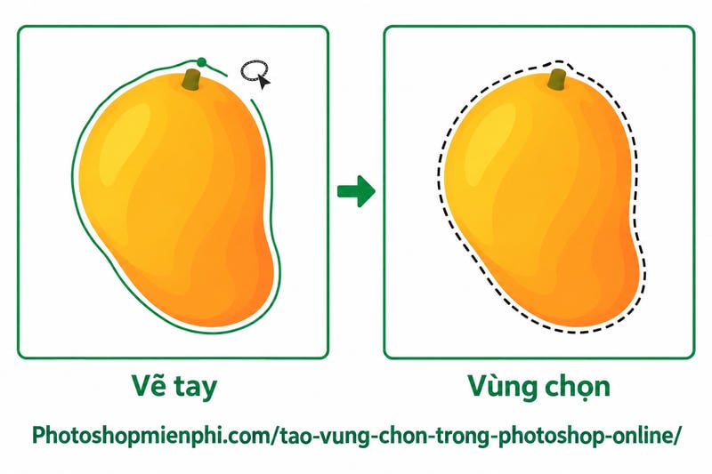 Lasso trong Photoshop online