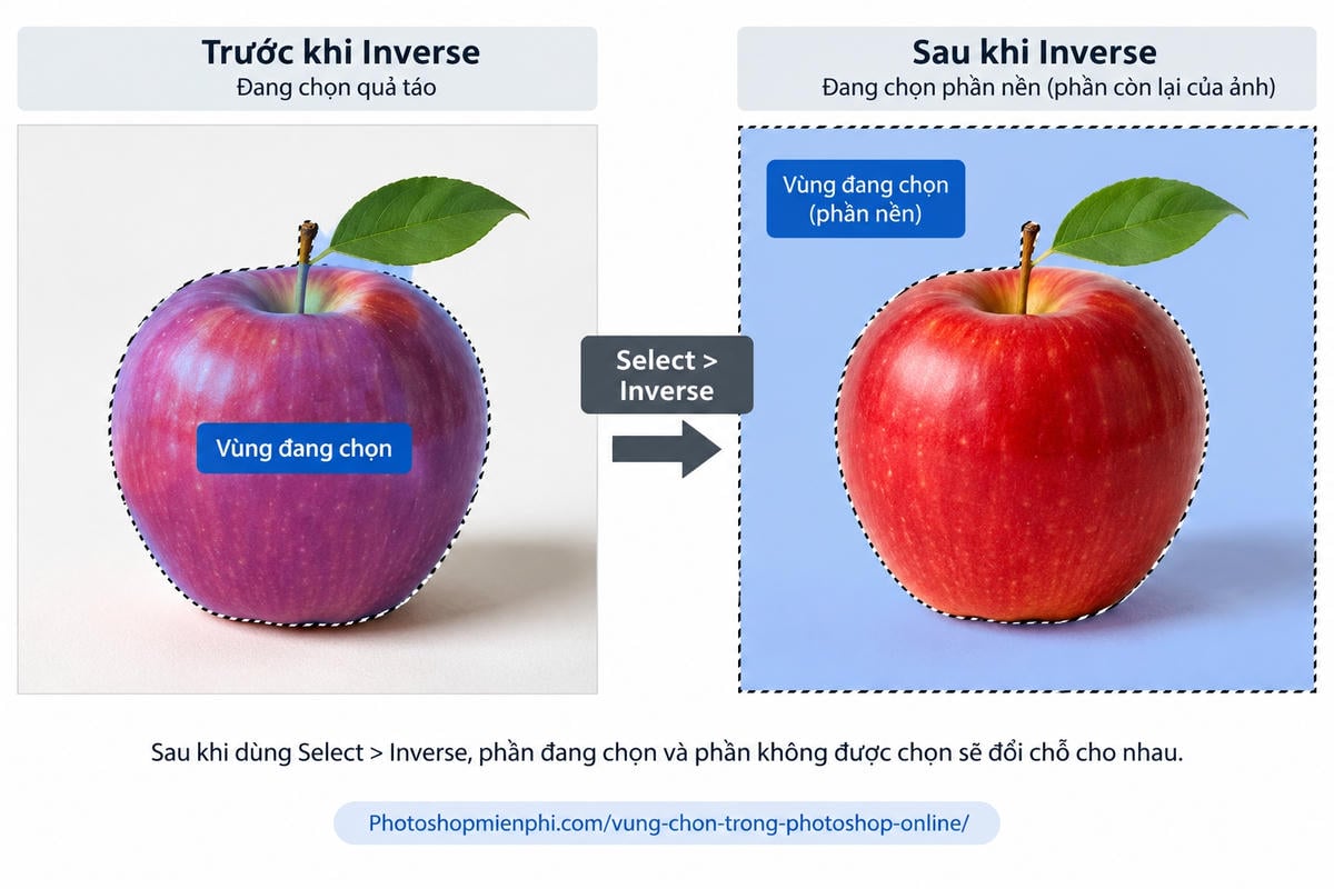 Đảo ngược vùng chọn trong Photoshop online